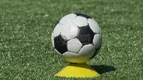 梅努社交媒体讽刺埃弗顿角球战术似WWE